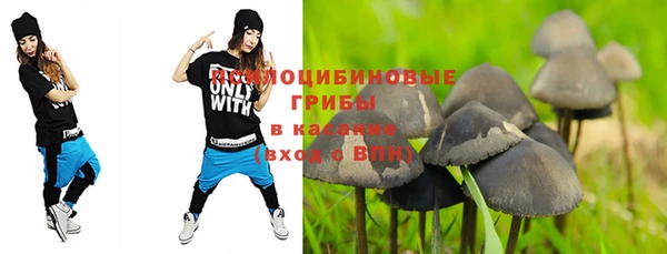 крисы Заволжье