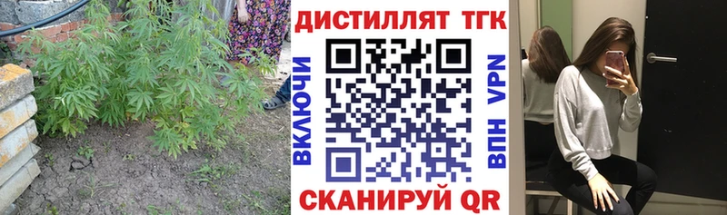 Дистиллят ТГК концентрат Камышин