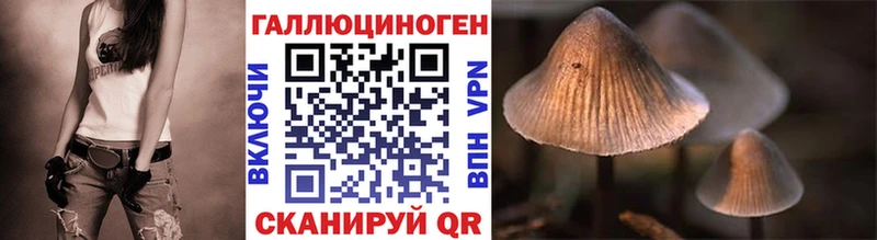 как найти закладки  Камышин  Галлюциногенные грибы GOLDEN TEACHER 