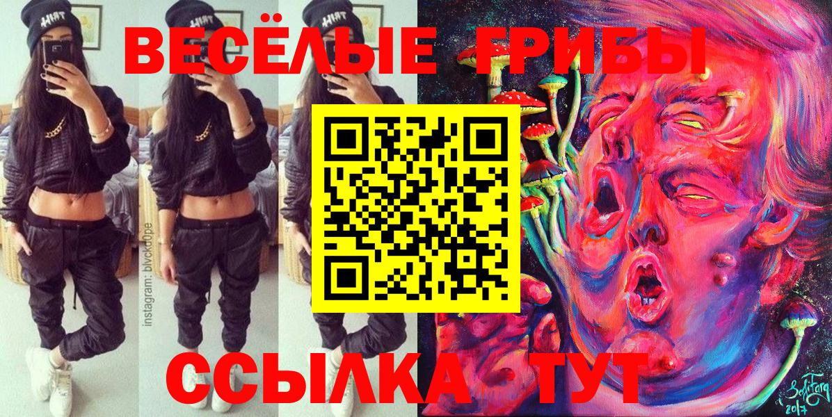 Камышин  Псилоцибиновые грибы Cubensis  Вход с VPN  Галлюциногенные грибы Magic Shrooms 