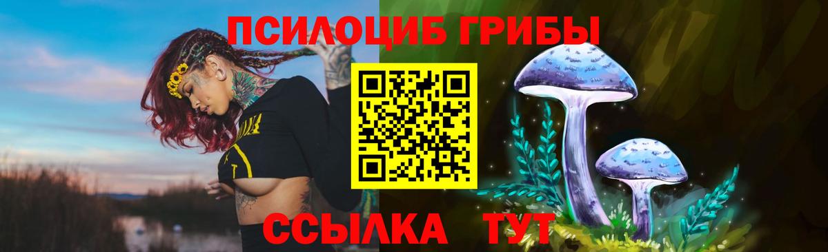 ГАШИШ  Вход с VPN  Камышин  МЕФ   МАРИХУАНА  COCAIN 