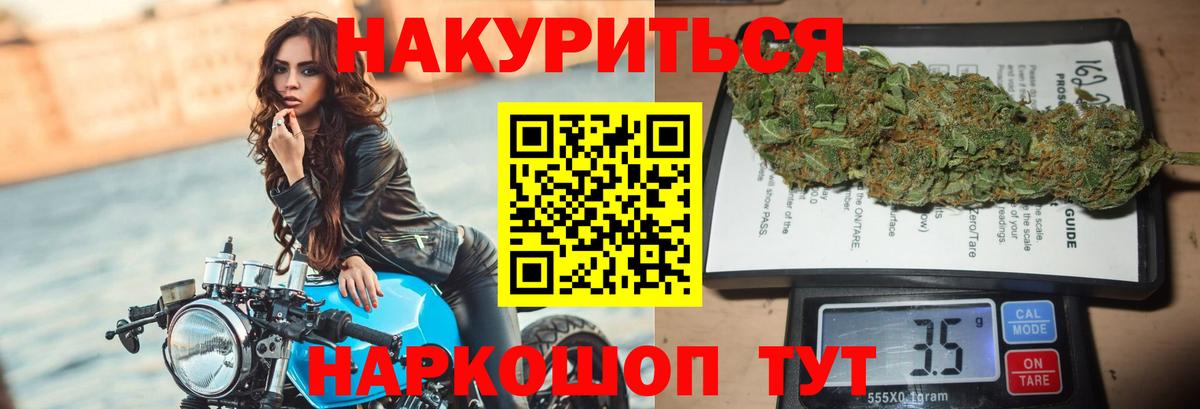 Конопля гибрид Камышин